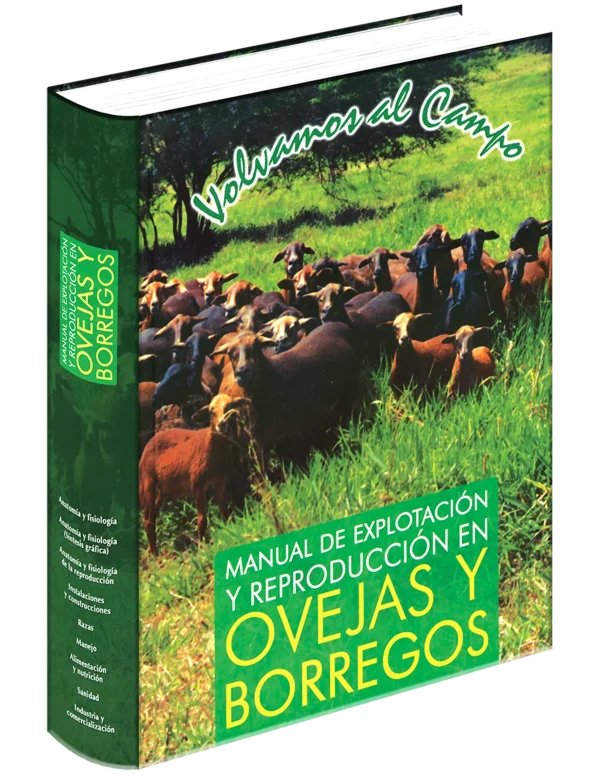 Manual de ovejas y borregos copia